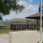 国际人娱乐中的社交媒体与传播方式 dzvgkh2i