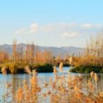 国际人娱乐的未来:挑战与机遇并存 mjhfxf8gtb