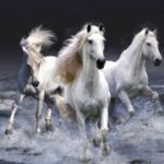 非凡娱乐下载的虚拟货币系统:如何获取与使用 mkxeysge92