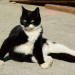 国际人28:如何在多元文化中找到自我定位 si7tnctd94